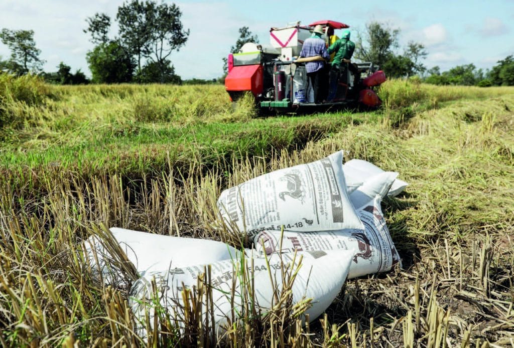 Baht, Thailand, world's biggest rice exporter