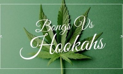 Which as Better for Smoking Cannabis a Bong or a Hookah?