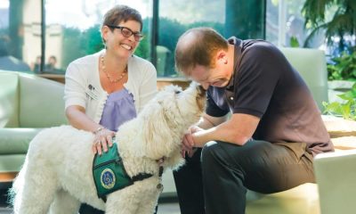Addressing Stress and Anxiety Treatment Through Pet Therapy