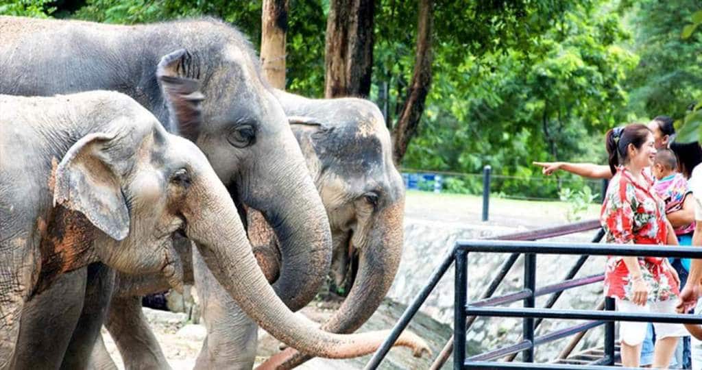 Khao Kheow Zoo, Thailand