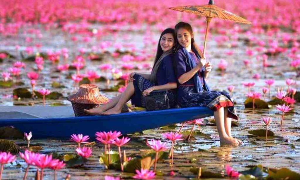 Best Time To Visit Red Lotus Lake Thailand