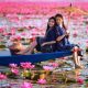 Best Time To Visit Red Lotus Lake Thailand