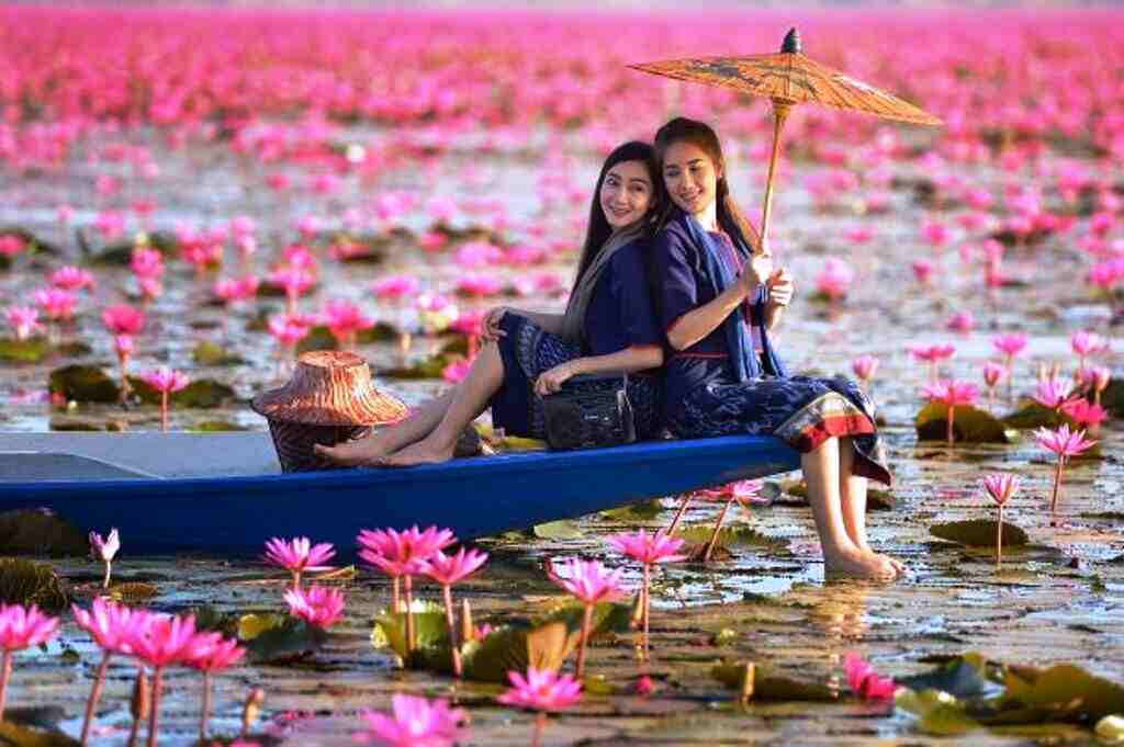 Best Time To Visit Red Lotus Lake Thailand