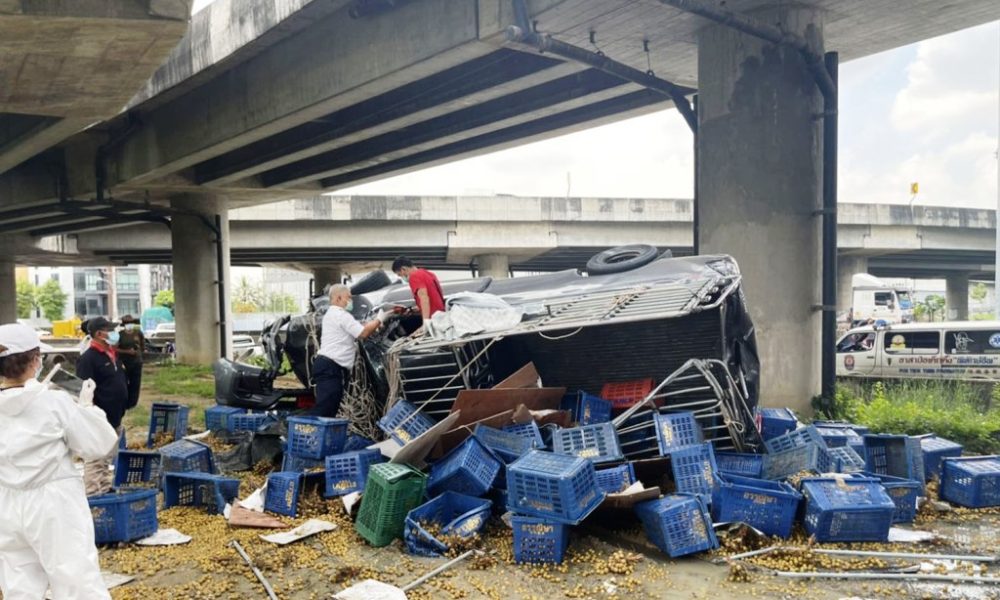 Thailand-pickup truck-toyota