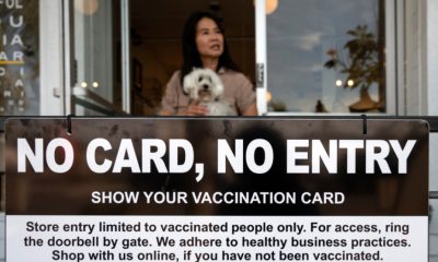 Health, Thai Government Ponders Color Coded Vaccination Cards