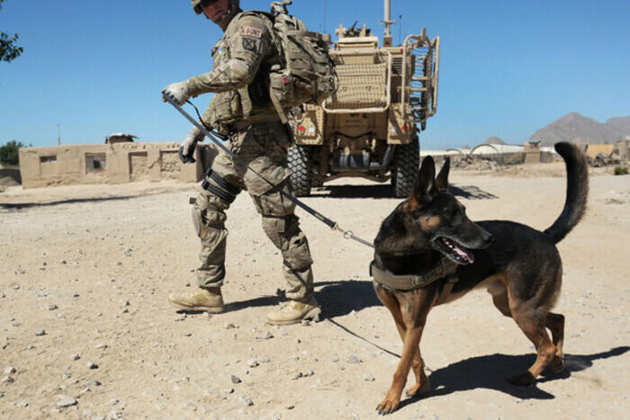 The American Humane society slammed Biden for leaving the contract dogs behind in Afghanistan