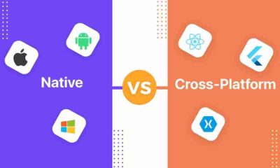 Native or cross-platform apps