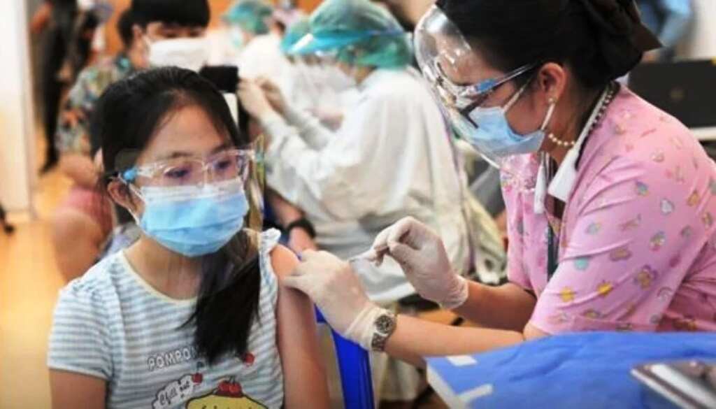 Pfizer, vaccine-thailand-students