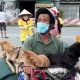 pet-dogs-vovid-19-vietnam