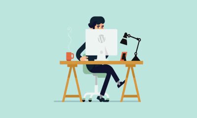 WordPress Development