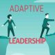 adaptive leadership framework