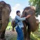 Thai Elephant Conservation Center, Lampang Thailand