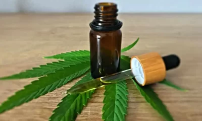 CBD oil, Hemp oil