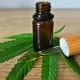 CBD oil, Hemp oil