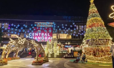 Central Mall in Chiang Rai to Host the ‘Colorful Doi Tung’ Festival