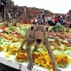 Food Galore: Thailand's Monkey Banquet Festival Returns