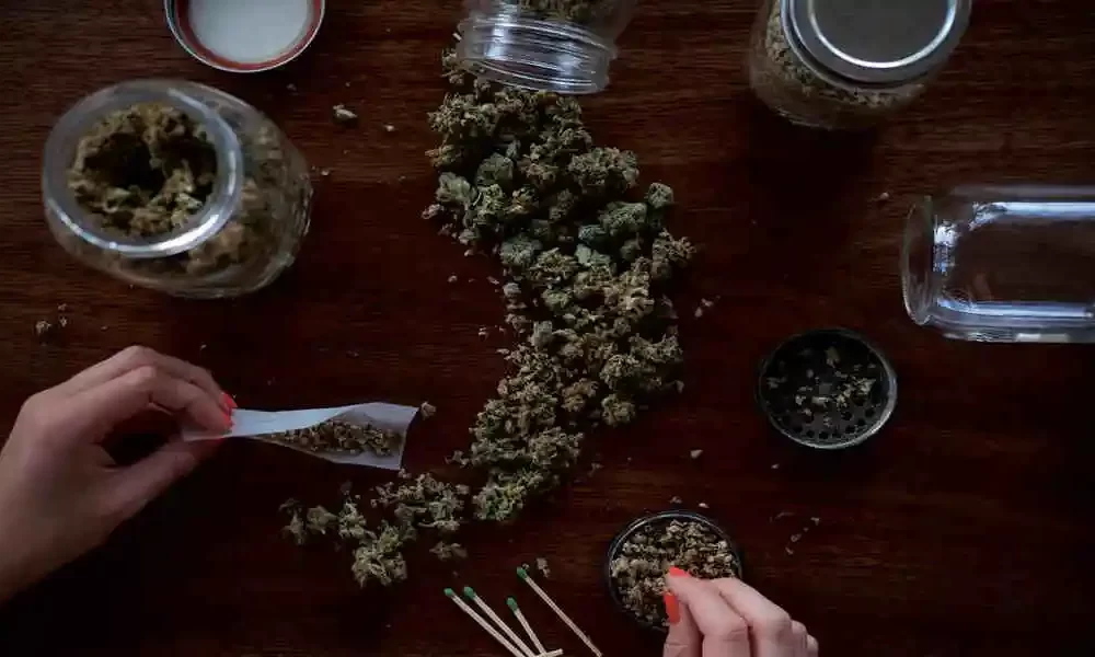 cannabis in canada