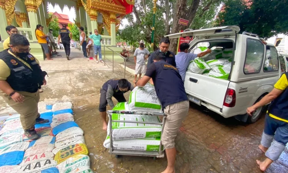 Soi Dog Sends Over 100 Tons of Dog and Cat Food for Flood Relief