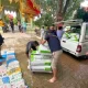 Soi Dog Sends Over 100 Tons of Dog and Cat Food for Flood Relief