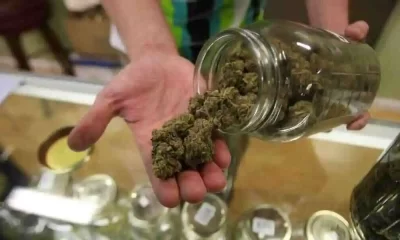 DC marijuana