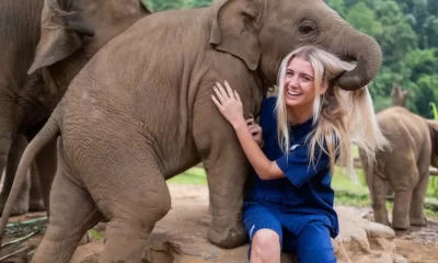 studying abroad-thailand