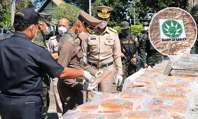 Army Rangers Seize 50Kg of Marijuana in Northeastern Thailand