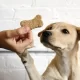 chewy dog treats