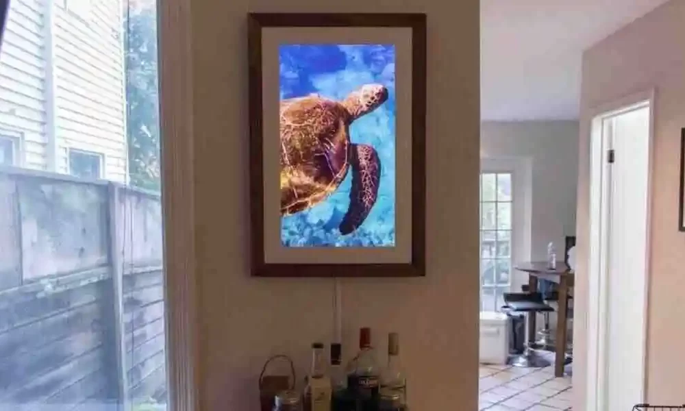 Digital photo displays