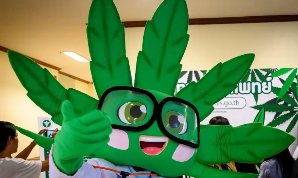 Thai Lawmakers to Push for Full Marijuana Legalisation