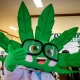 Thai Lawmakers to Push for Full Marijuana Legalisation