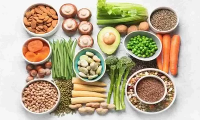 vegetarian Diet