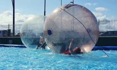 zorb ball