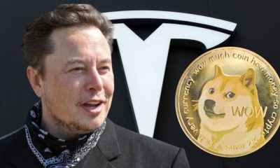 Dogecoin Surges After Musk Says Tesla to Accept Cryptocurrency