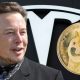 Dogecoin Surges After Musk Says Tesla to Accept Cryptocurrency