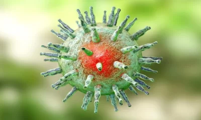 Epstein Barr-Virus