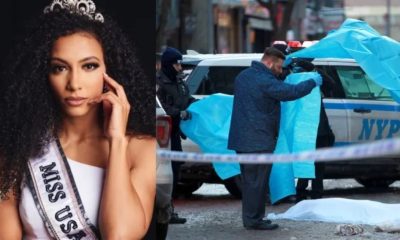 Miss USA 2019 Jumps to Her Death From New York Condo