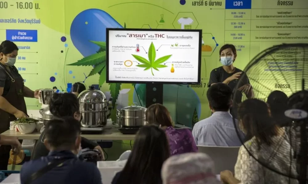 Thailand to Promote Cannabis 101 Handbook to Farmers