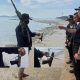 Police Recover Handguns Linked to the Killing of Indian Gangster