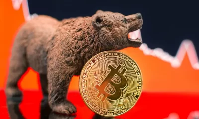 Investing in the Crypto Bear Market: 5 Things You Should Know