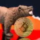 Investing in the Crypto Bear Market: 5 Things You Should Know