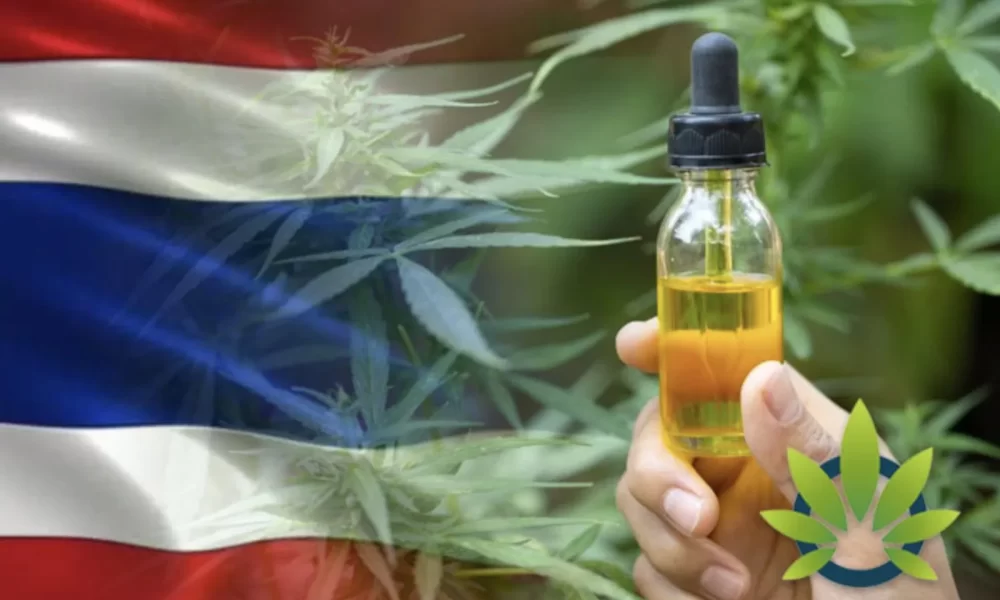 Study Finds 4.3% of Thailand's Adult Have Tried Cannabis CBD