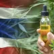 Study Finds 4.3% of Thailand's Adult Have Tried Cannabis CBD