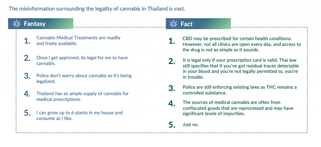 cannabis Thailand