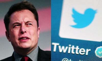 Elon Musk's Asks His 79.2 Million Followers if Twitter Should Be Replaced