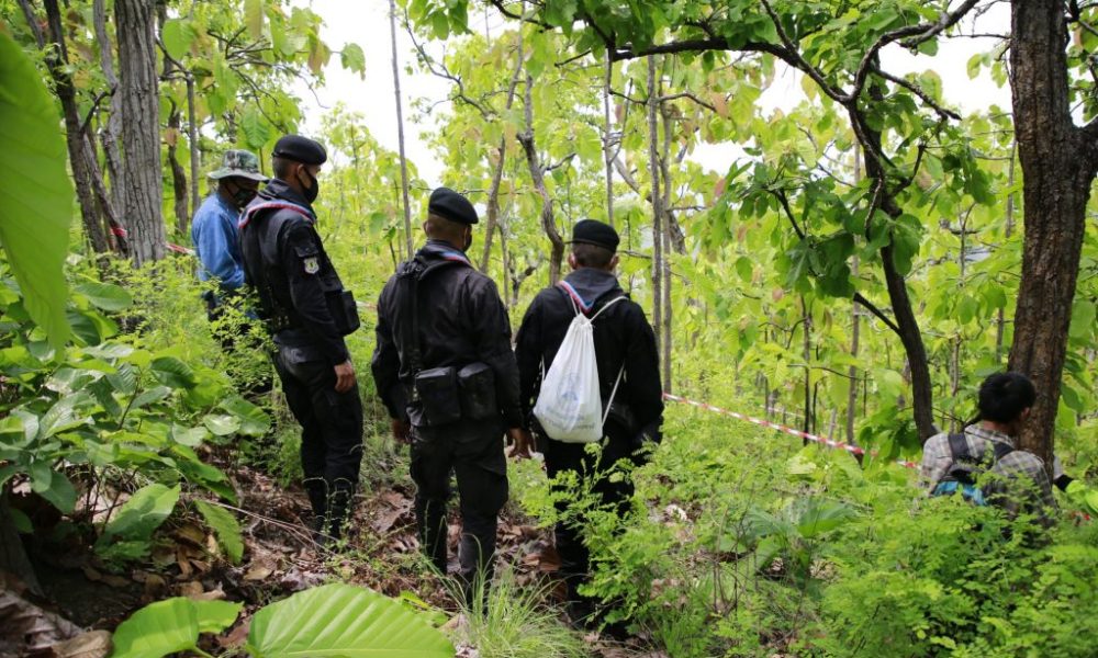 Fugitive Forest Ranger Found Dead, Hanging From a Tree