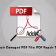 Repair Damaged PDF