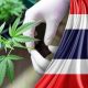 Clarifying Myths About Thailand’s Cannabis Laws