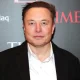 Tesla ceo Elon Musk