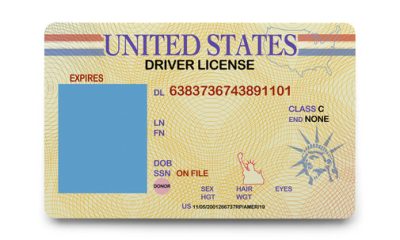 Fake Id Images – Browse 4,302 Stock Photos, Vectors, and Video | Adobe Stock