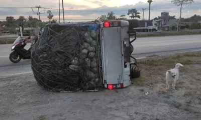 Police Stumble Upon 220Kg of Crystal Meth After Pickup Crashes